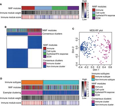 Unraveling tumor microenvironment heterogeneity in malignant pleural mesothelioma identifies biologically distinct immune subtypes enabling prognosis determination